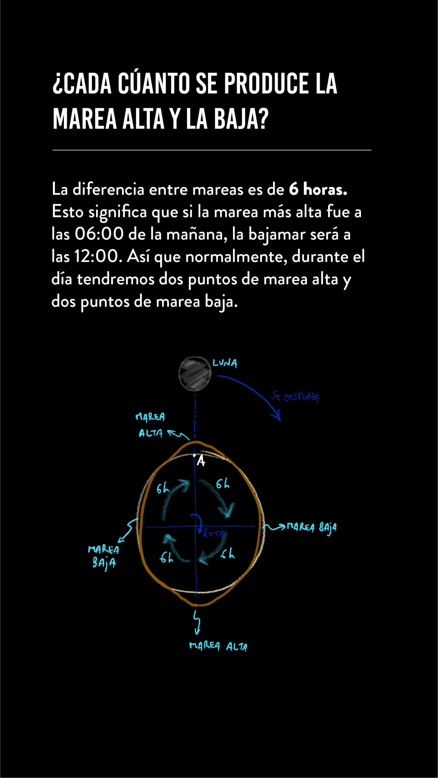 LUNA LUNERA_Mesa de trabajo 1 copia 2