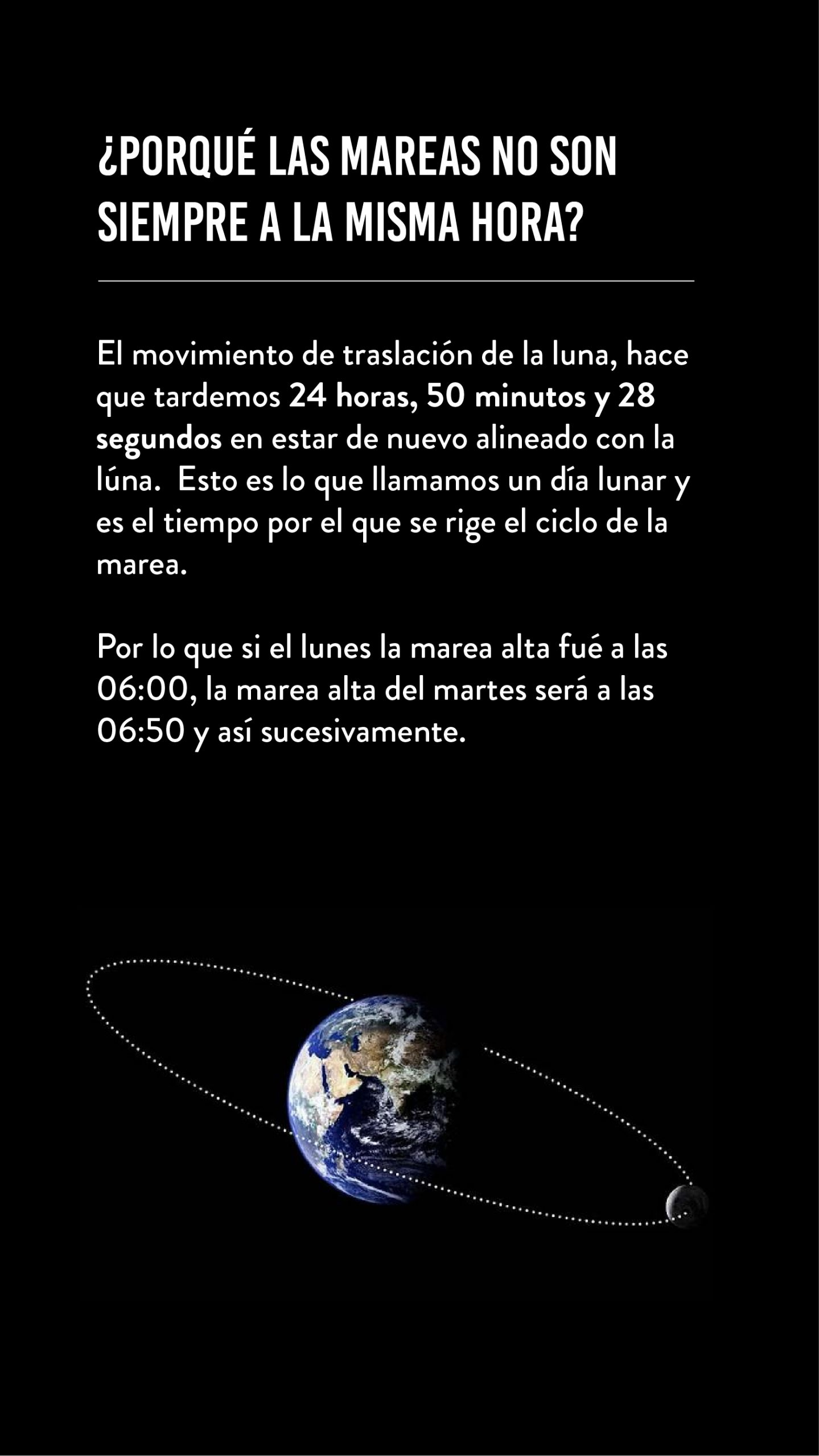 LUNA LUNERA_Mesa de trabajo 1 copia 3