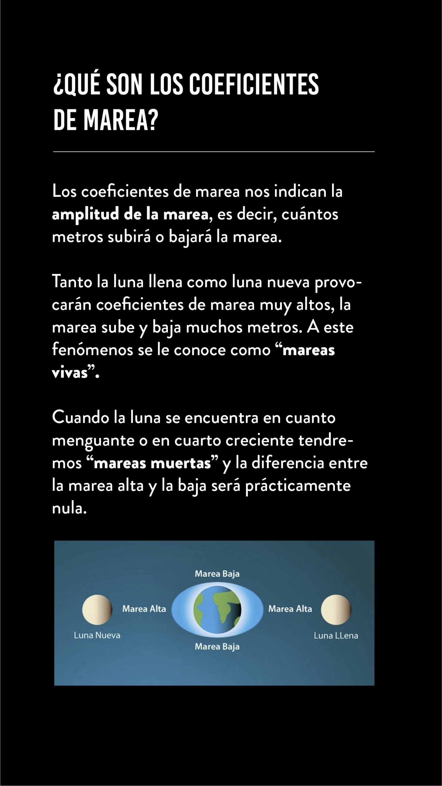 LUNA LUNERA_Mesa de trabajo 1 copia 4