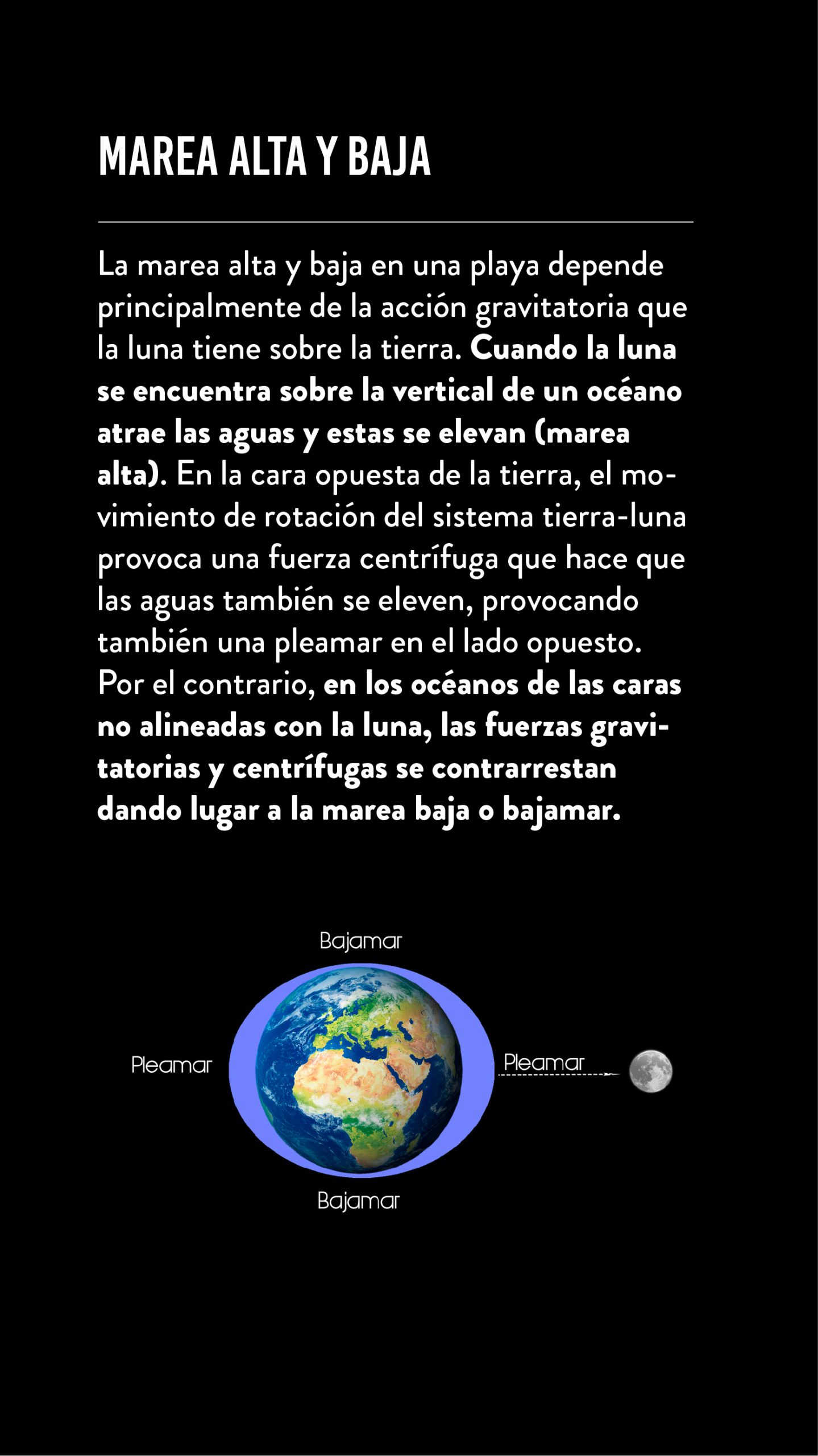 LUNA LUNERA_Mesa de trabajo 1 copia