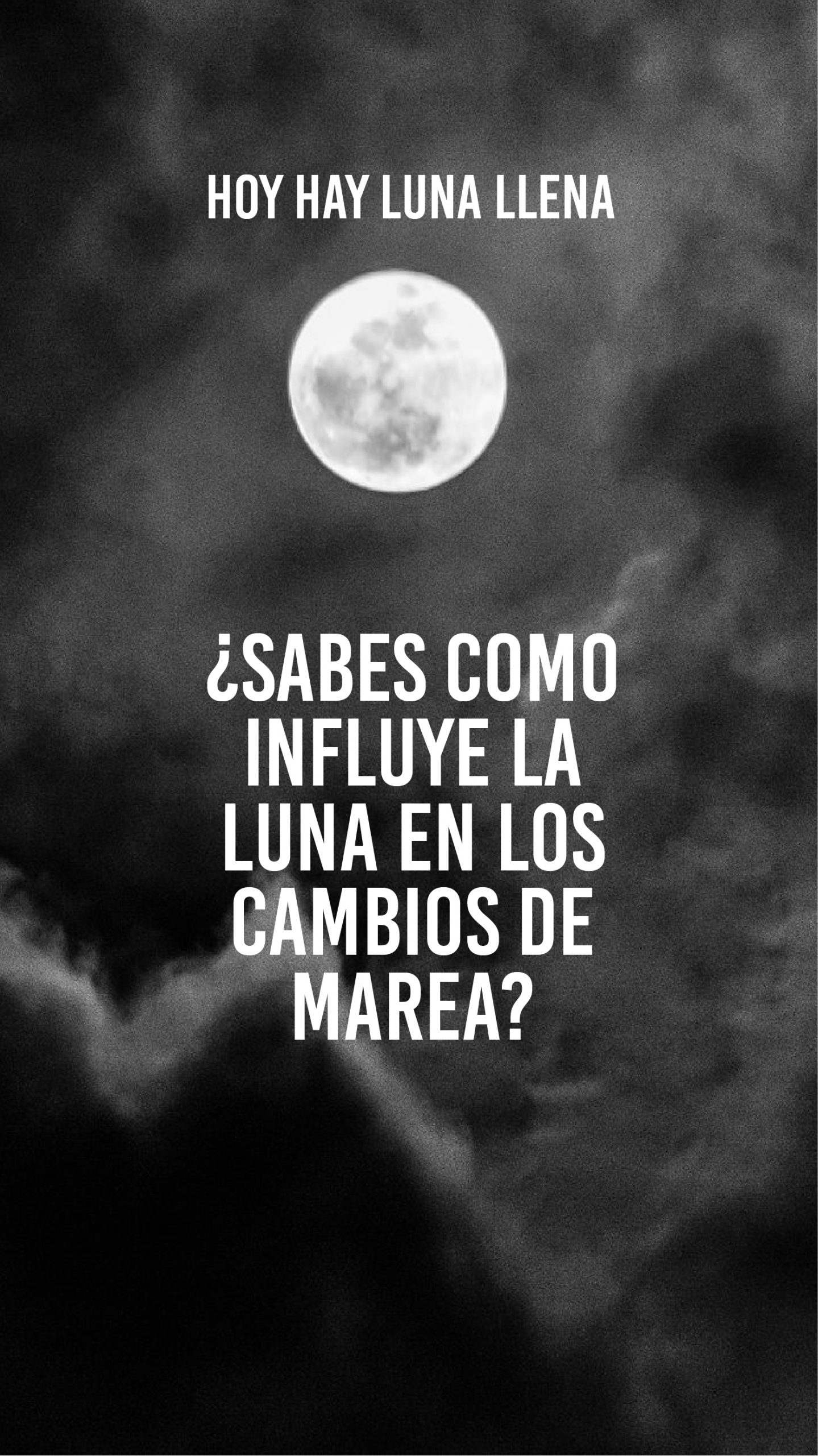 LUNA LUNERA_Mesa de trabajo 1