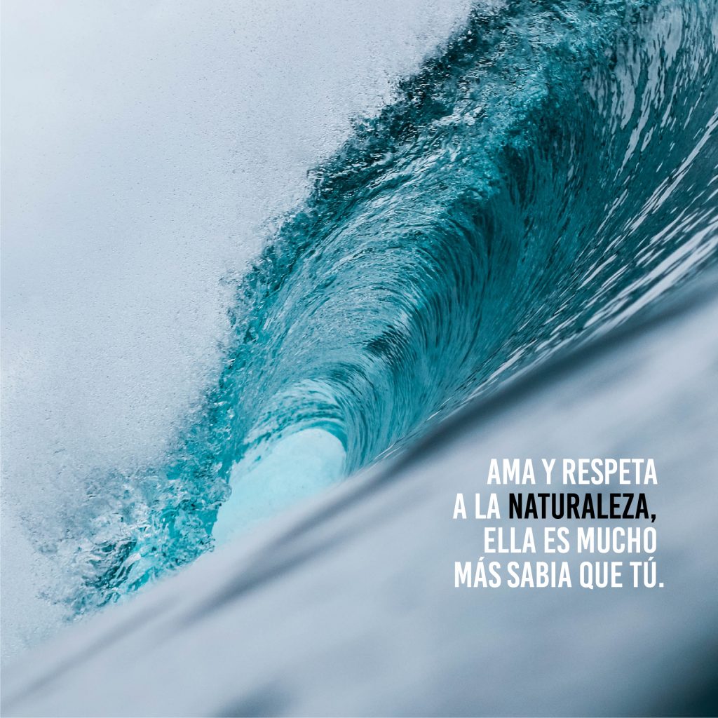 MANIFIESTO_Mesa de trabajo 1 copia 2